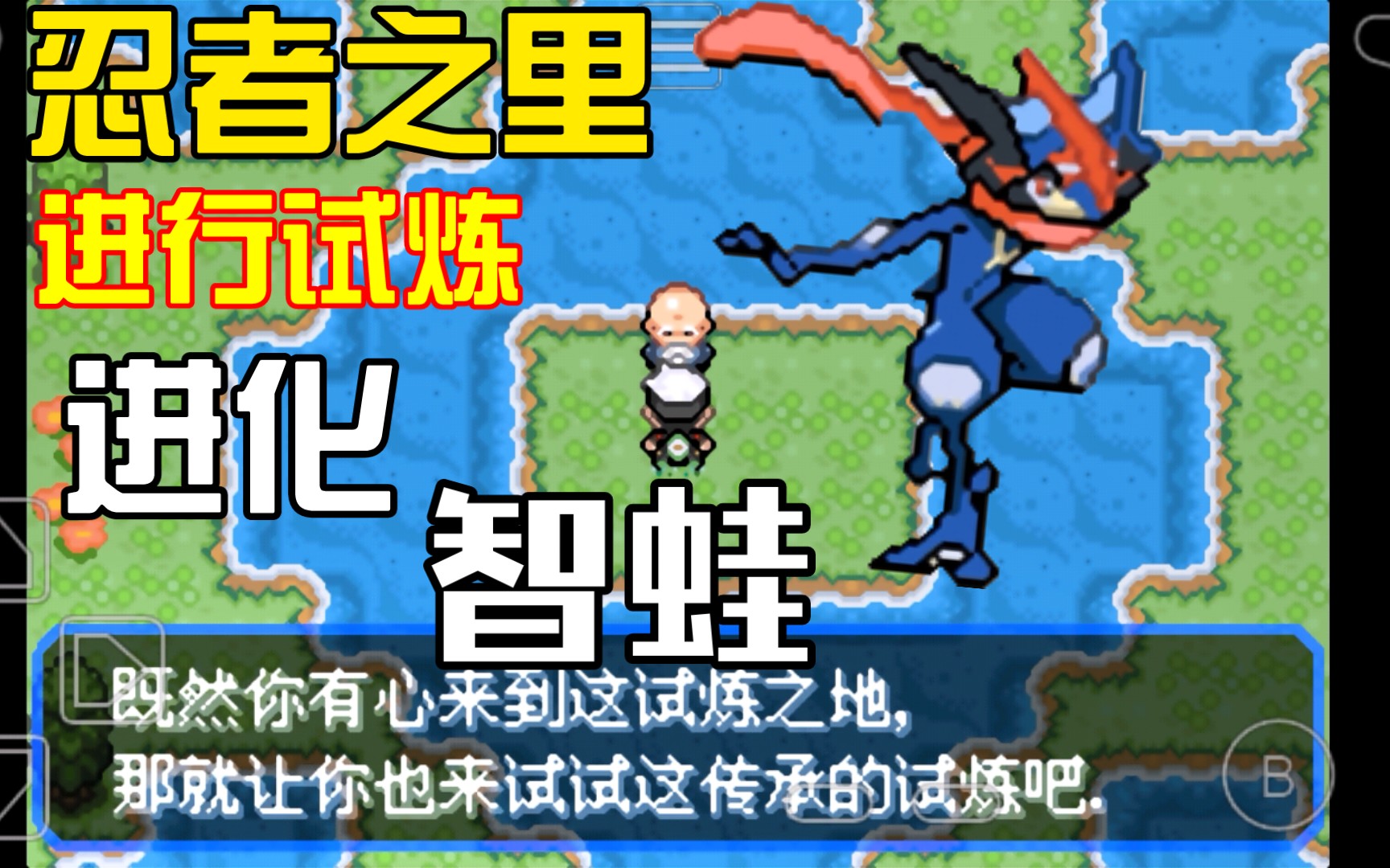 究极绿宝石v番外改变形态小智版甲贺忍蛙