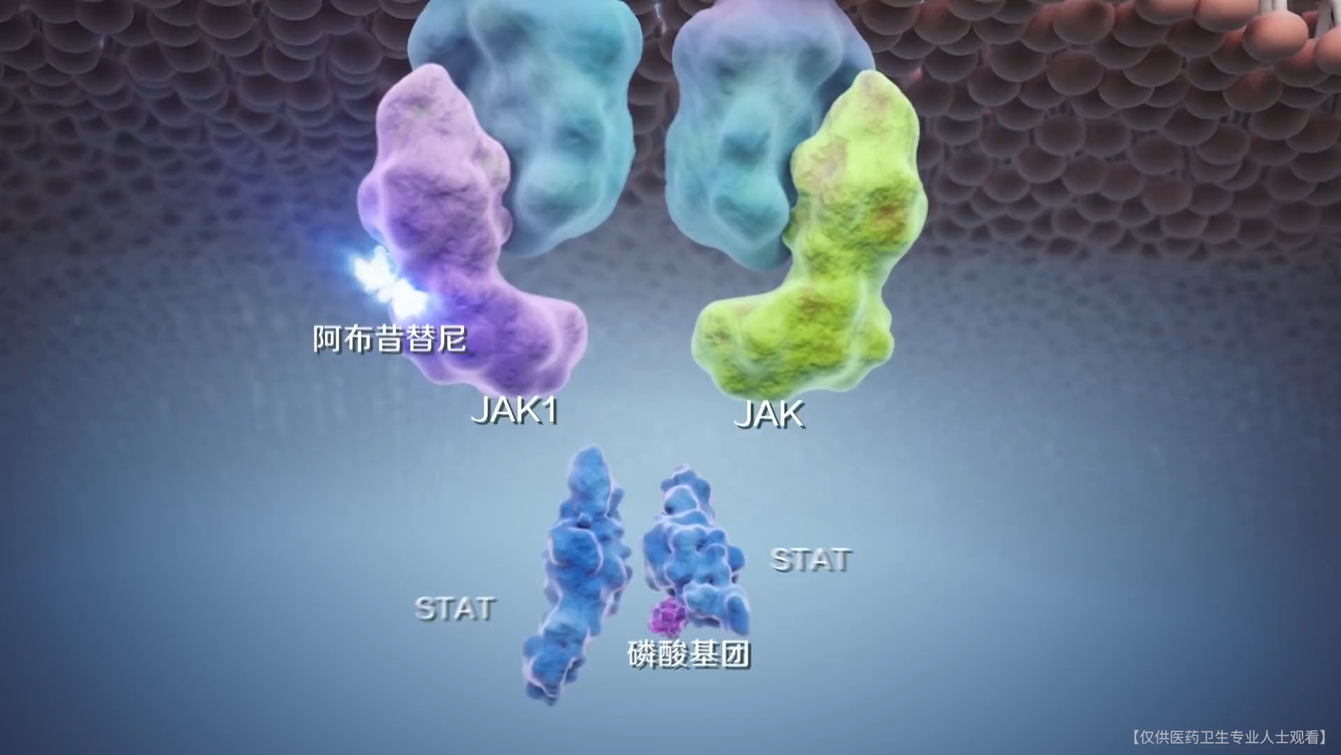 [图]小分子抑制剂治疗皮炎的原理