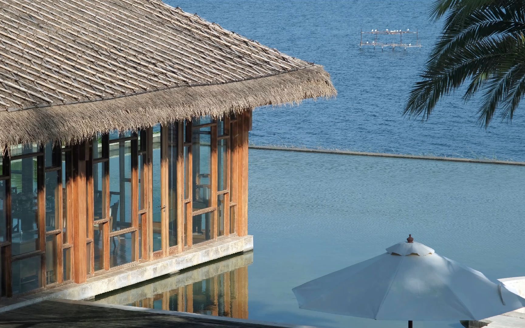 湖与自然 临水而居 沉浸山光水色的如梦假日 #昆明柏联酒店