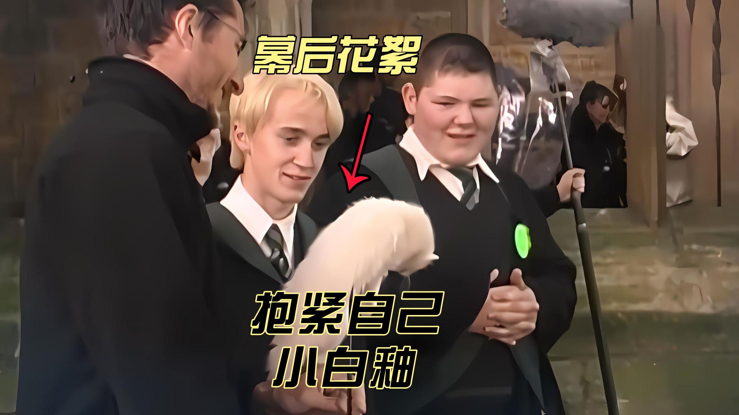 【哈利波特】德拉科说我们很爱对方,艾玛:助力不知死活的梦想