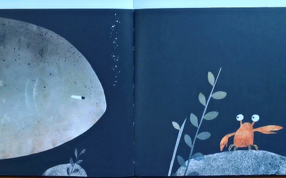 这不是我的帽子~胡子高讲绘本~亲子共读好伙伴!