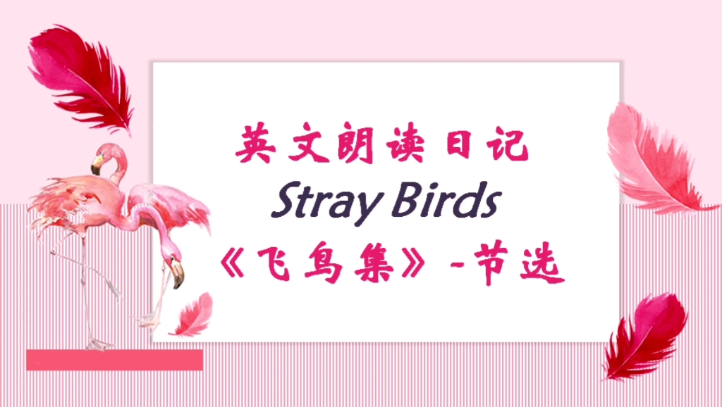 [图]英文朗读日记: Stray Birds （《飞鸟集》——节选）