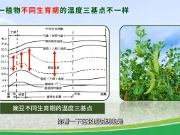 Скачать видео: 温度的三基点（最低温度、最适温度、最高温度）