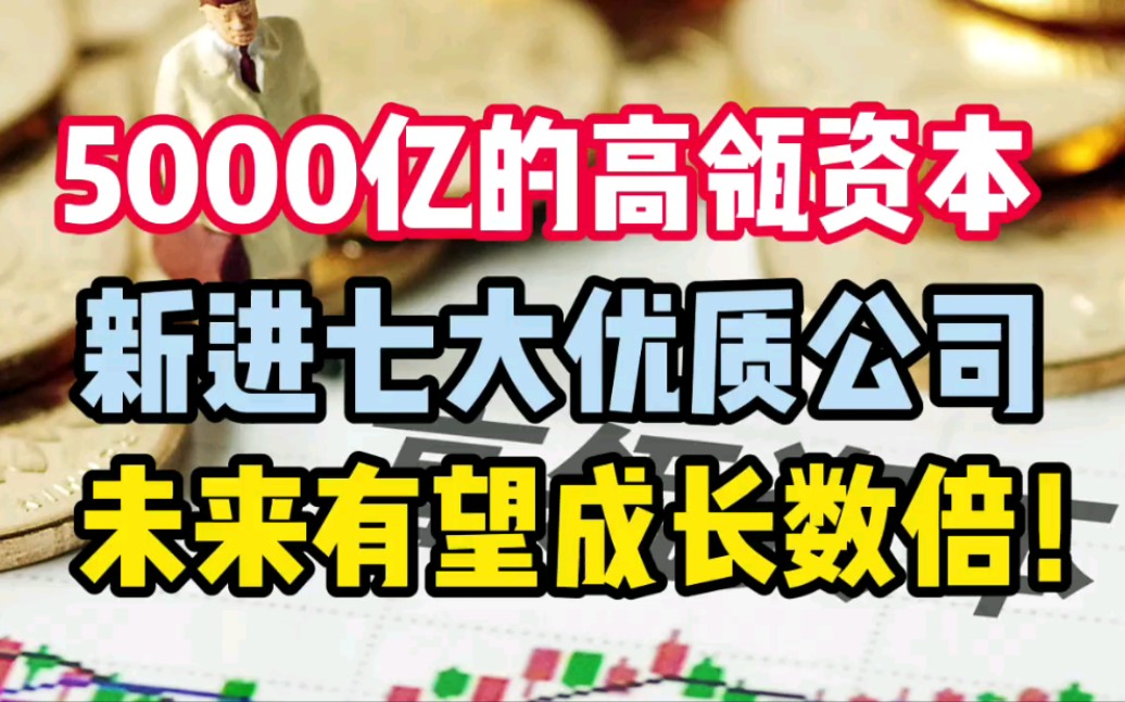 5000亿的高瓴资本,新进的七大优质公司,未来有望成长数倍!哔哩哔哩bilibili