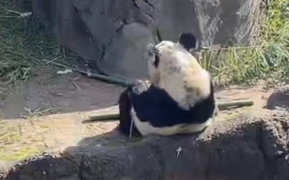 [图]丫丫真的特别坚强，不挑食努力干饭，宝贝一定会平安回家的