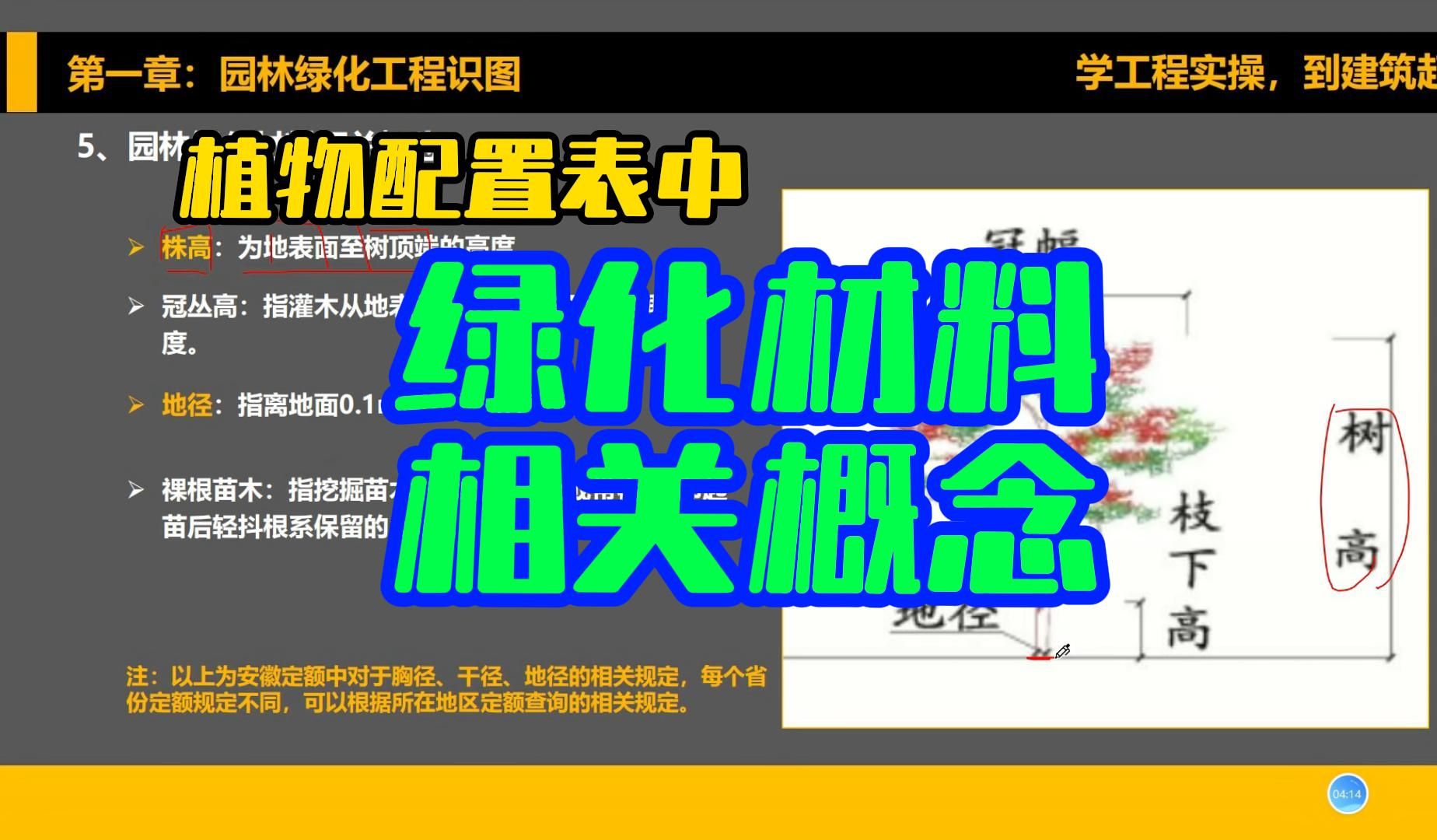 园林绿化工程中胸径、冠幅是什么意思?带你来看各地定额中如何规定/零基础学园林绿化预算/园林工程造价基础识图/园林绿化工程识图哔哩哔哩bilibili