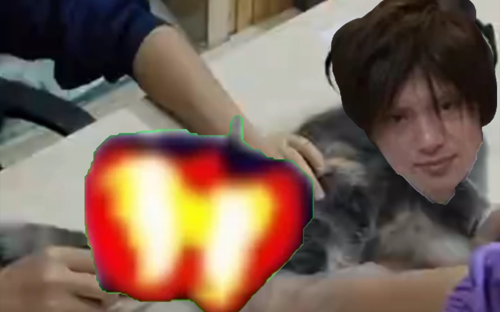德川猫被撅后的痛苦哀嚎