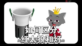 Download Video: 如何区分红太狼和灯