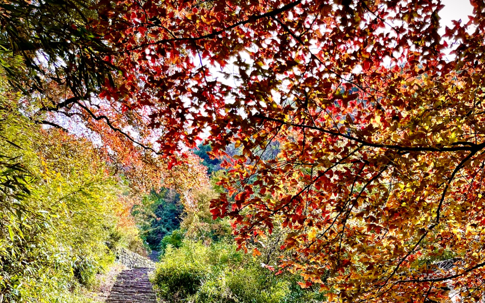 [图]最美江南——古道西风陶堰岭