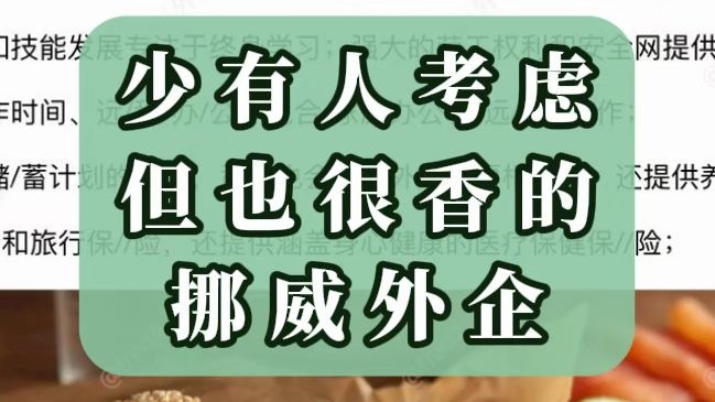 挪威外企过于冷门了,实际上很好进哔哩哔哩bilibili