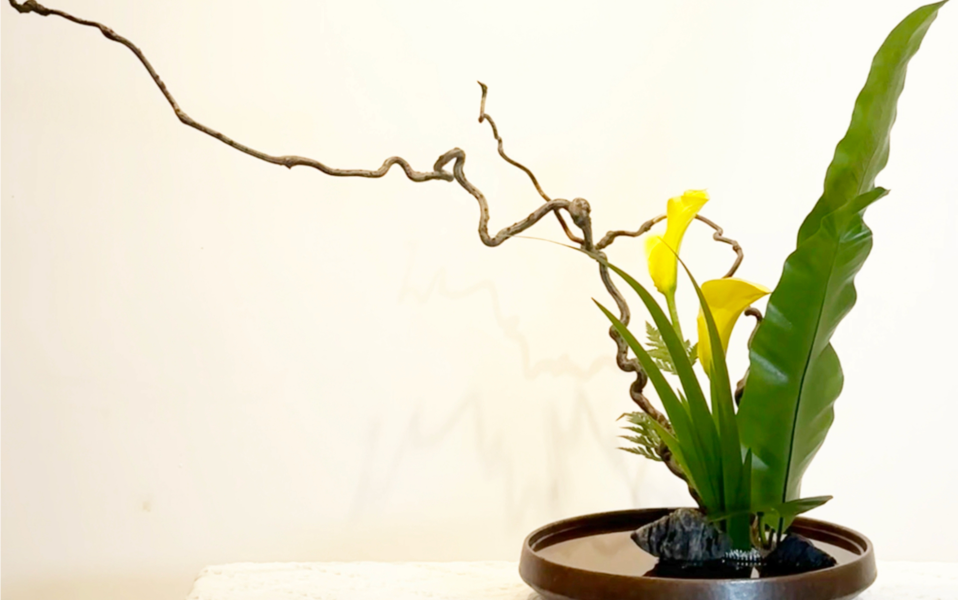 东方插花之龙枣枝