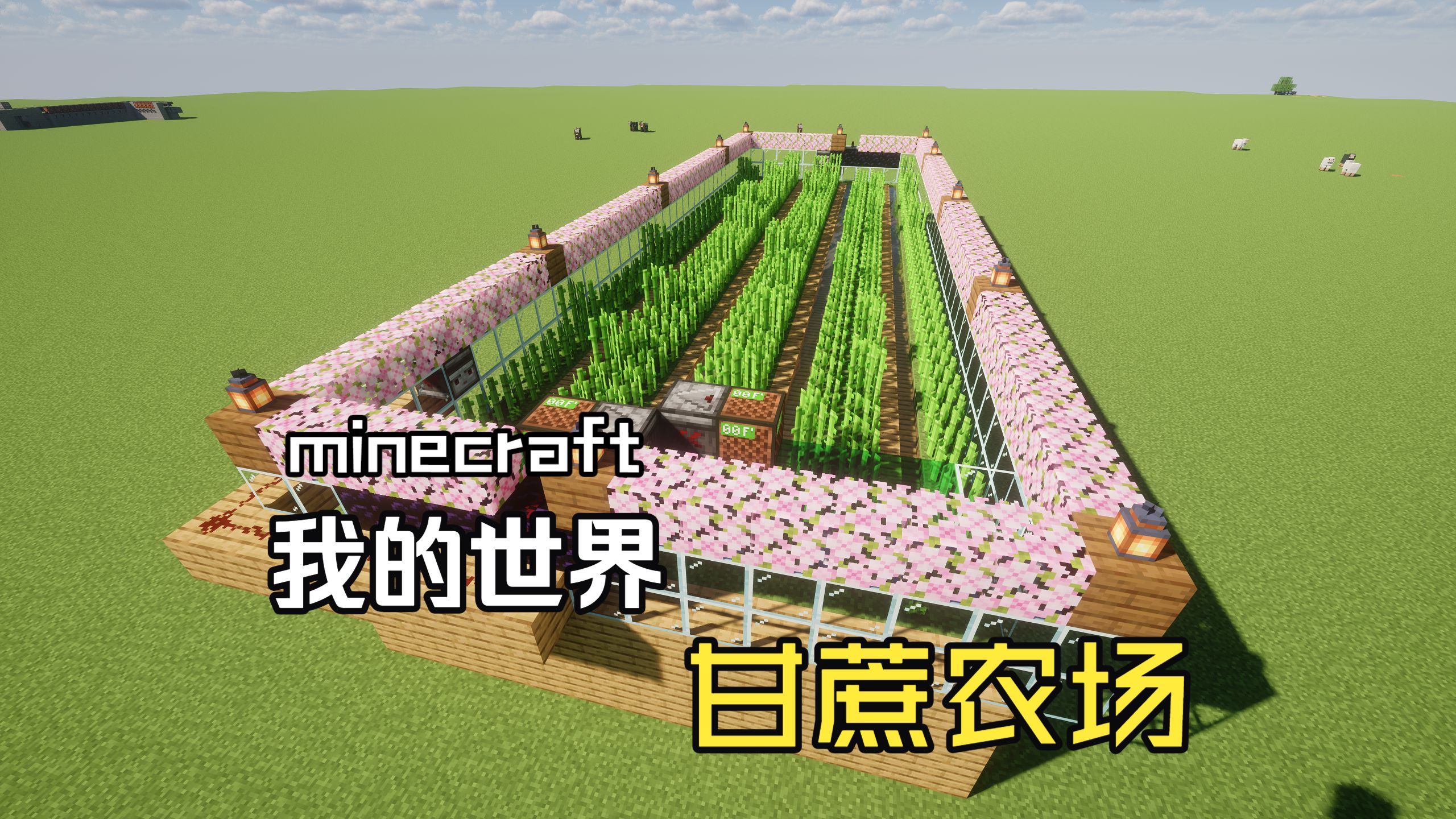 【我的世界】简单高效的甘蔗农场