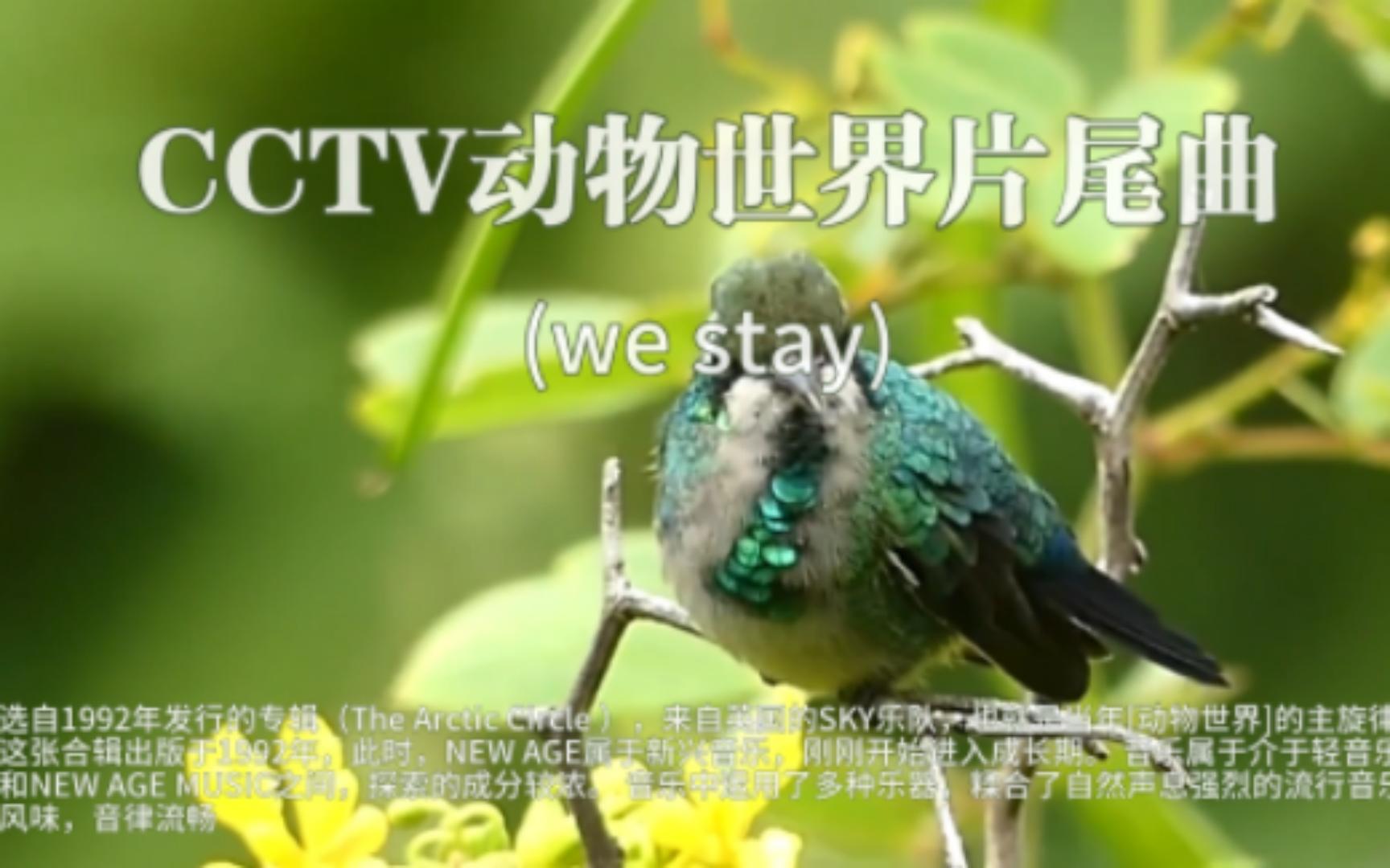 [图]【纯音乐】CCTV动物世界片尾曲(we stay)，中央电视台《动物世界》连用了十年的主题曲。奔放的运动旋律，相信和我年纪相仿的朋友印象会非常深刻。