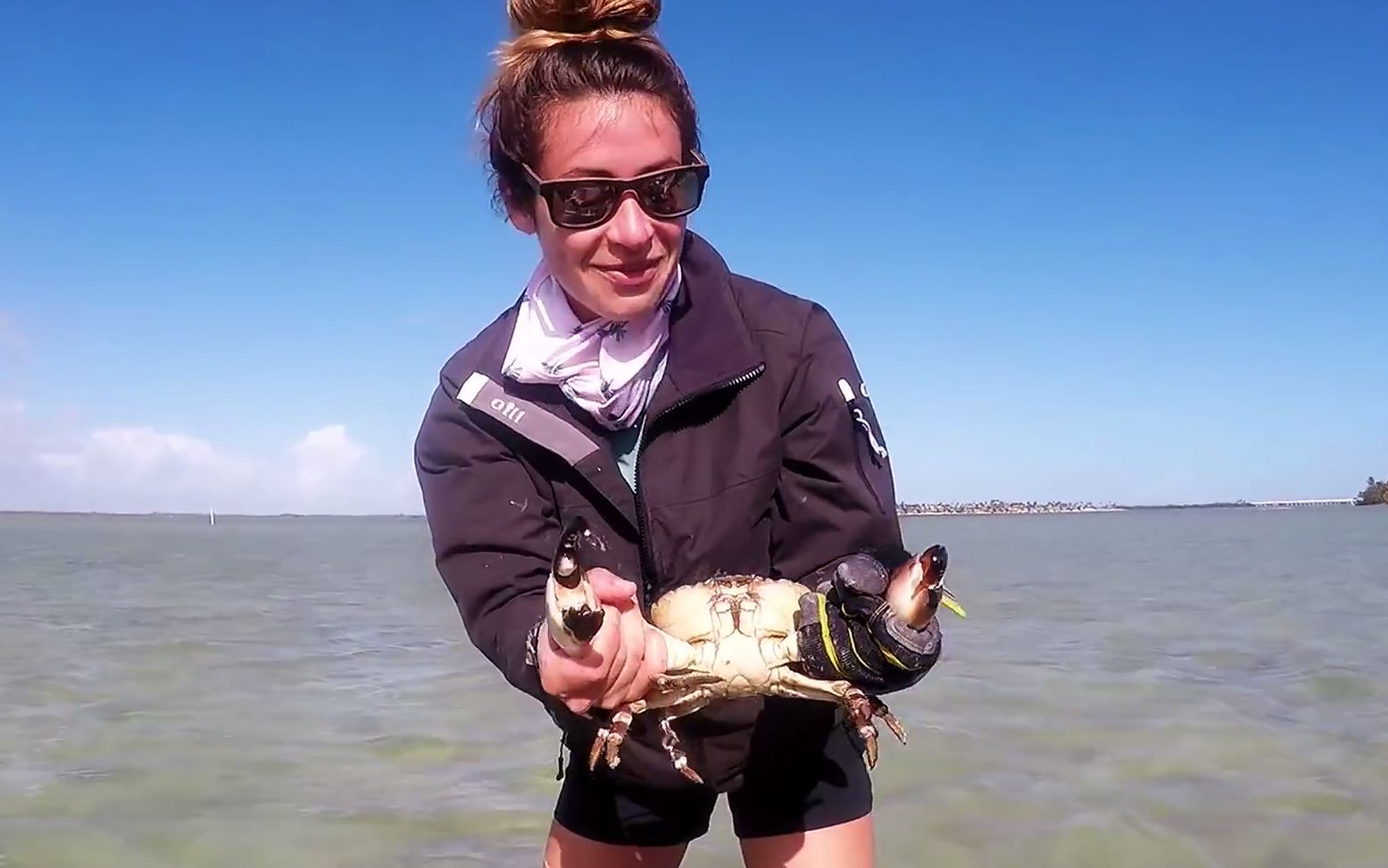 【vicky stark】比基尼射鱼姐--keywest捕捉石蟹_哔哩哔哩 (゜-゜)つ