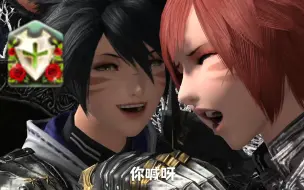 Download Video: 【ff14】生好多剑术师