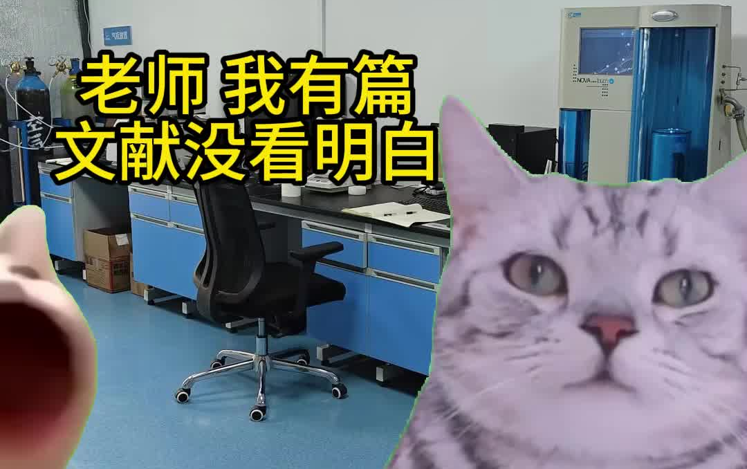 导师的两副面孔!百测网——【猫meme】哔哩哔哩bilibili