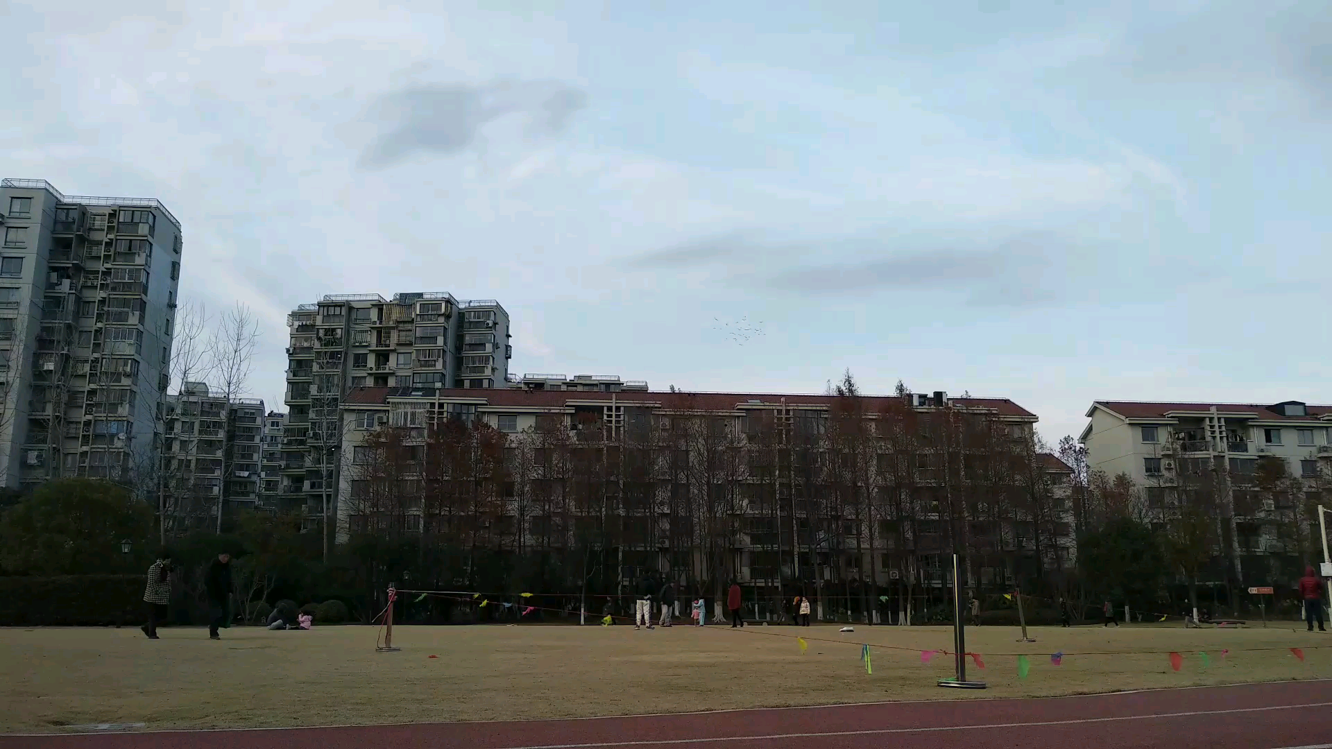 上海金鹤公园图片