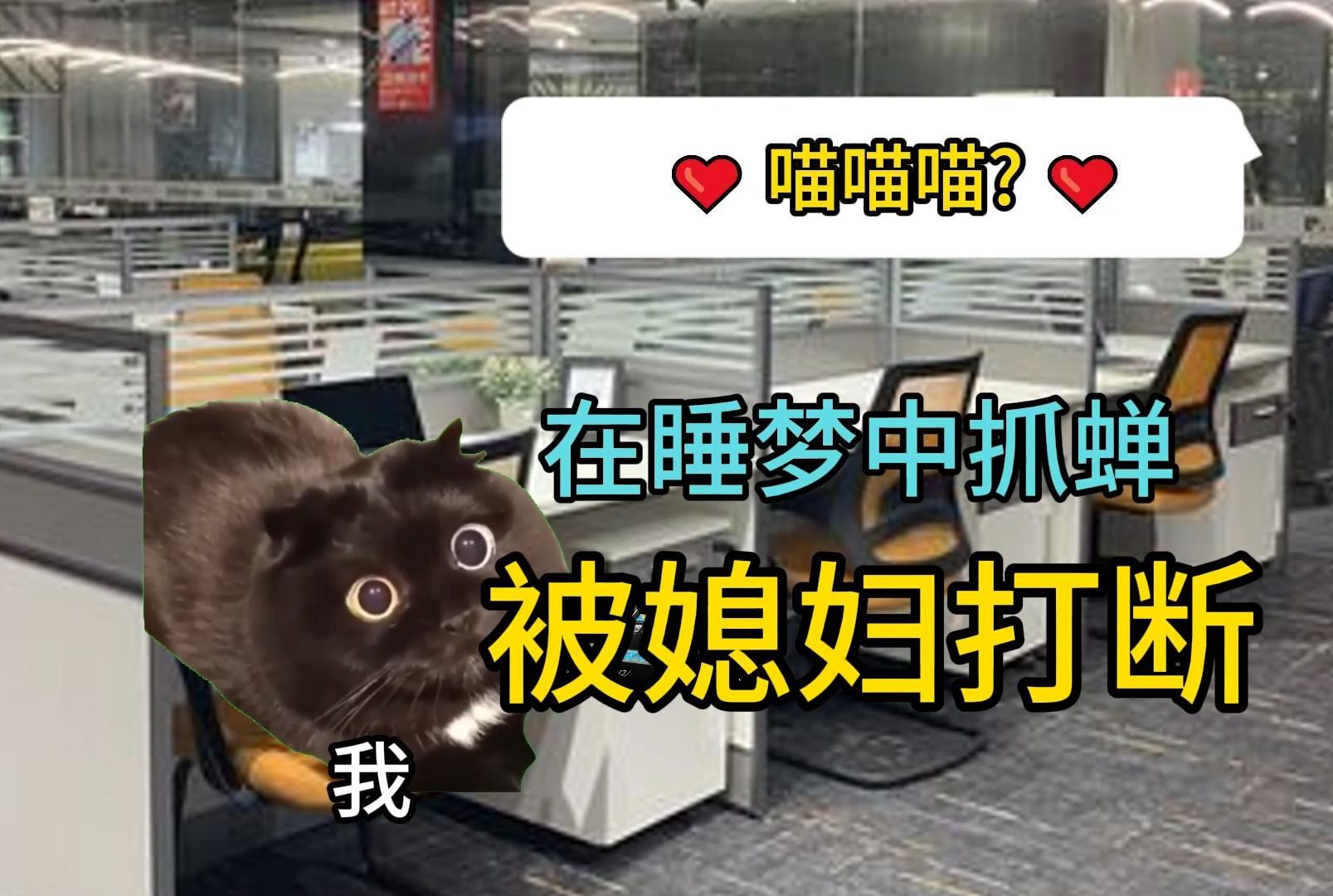 【猫meme】在睡梦中抓蝉的我被媳妇打断哔哩哔哩bilibili