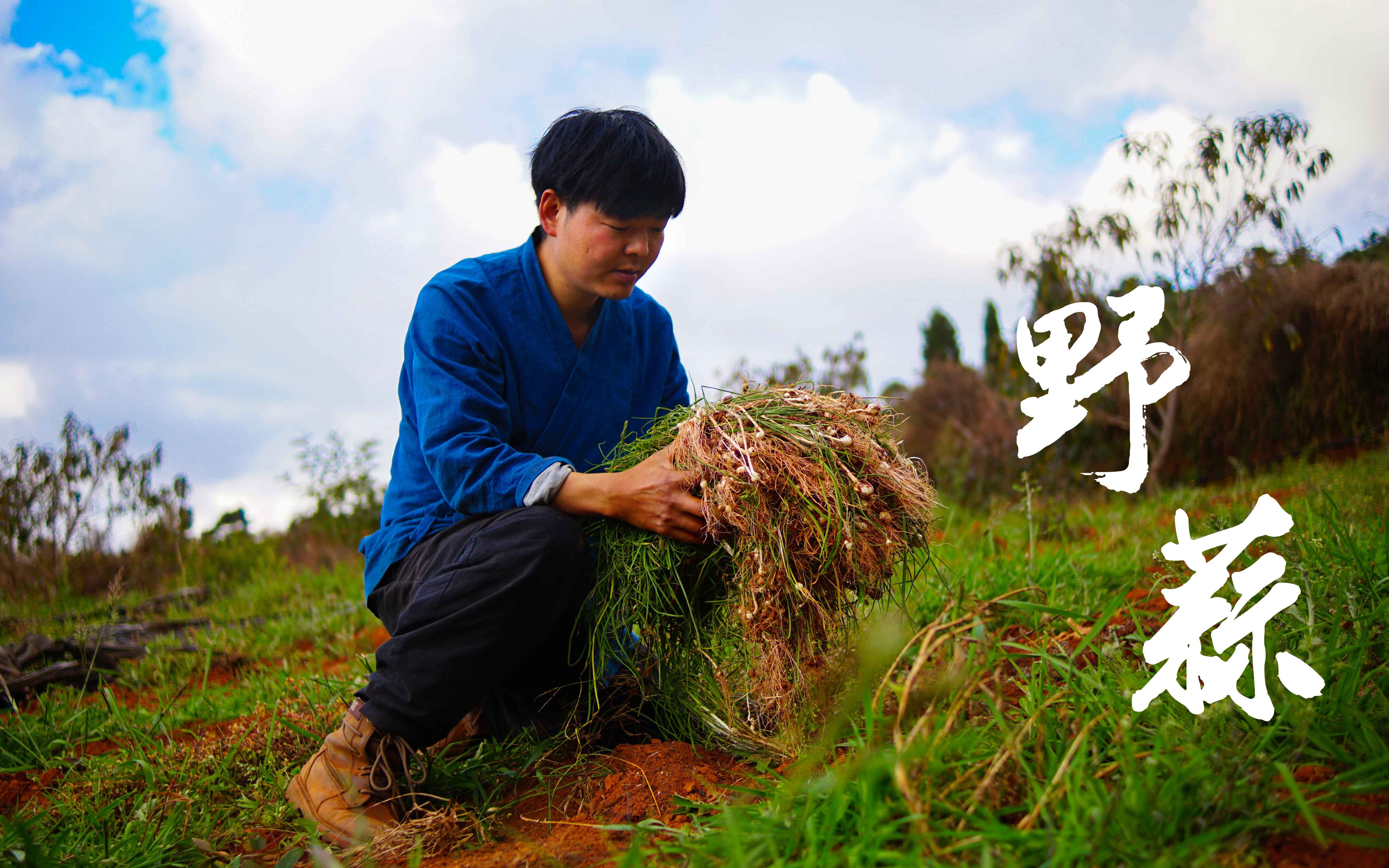 山上遍地都是野蒜,挖点回家,随便怎么搭配都好吃哔哩哔哩bilibili