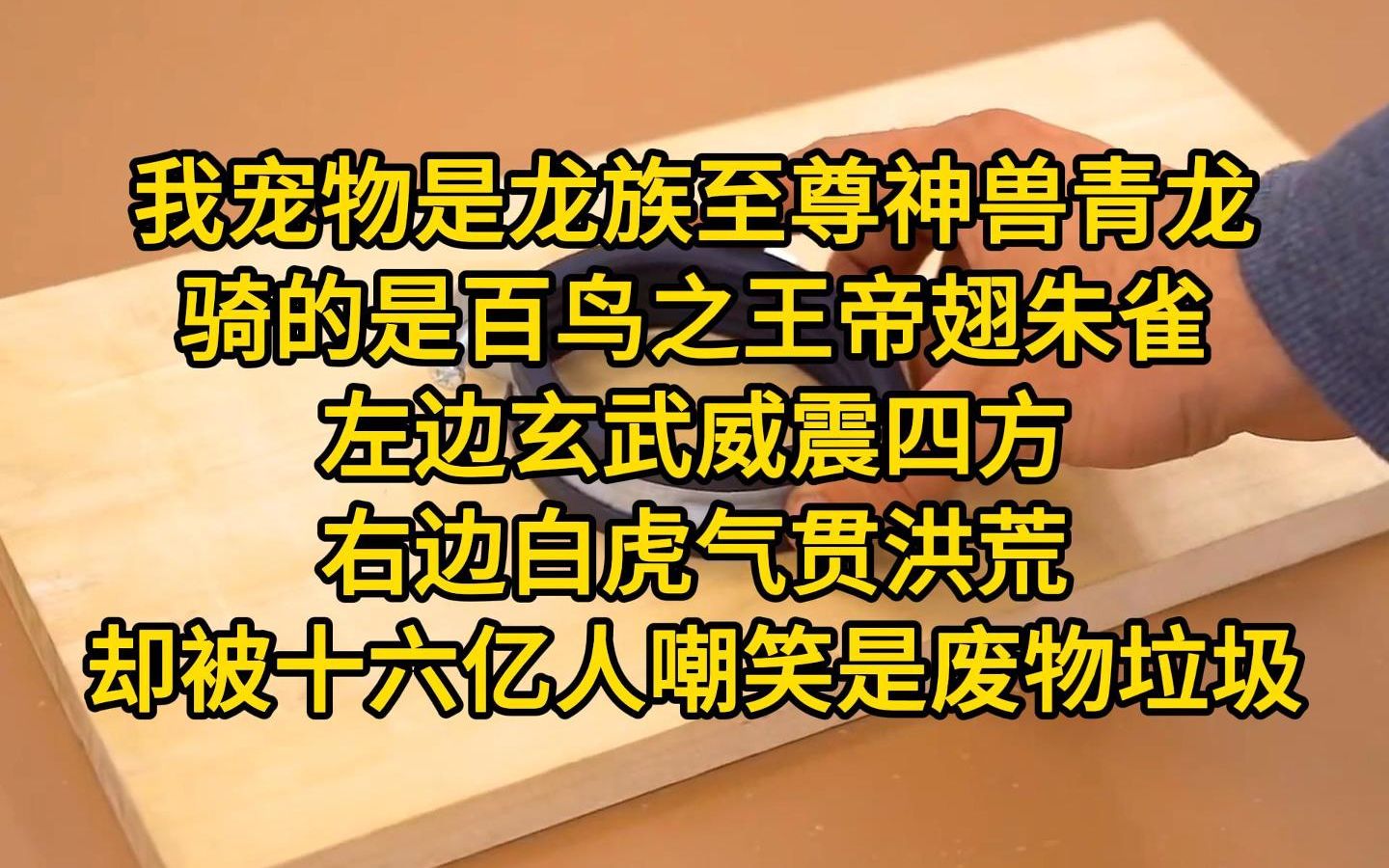 [图]《一流觉醒》我宠物是龙族至尊神兽青龙，骑的是百鸟之王帝翅朱雀，左边玄武威震四方，右边白虎气贯洪荒，却被全校十六亿人嘲笑是废物垃圾