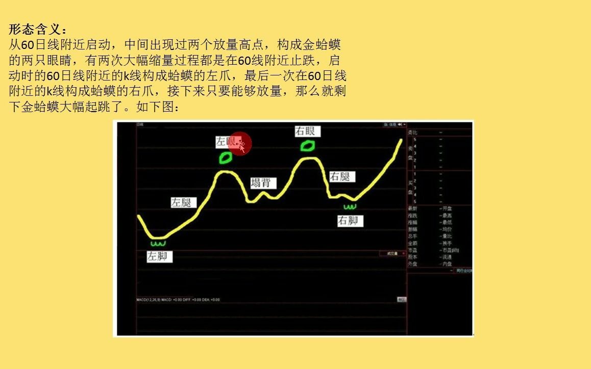 出现“金蛤蟆”形态,主力将展开强势拉升哔哩哔哩bilibili