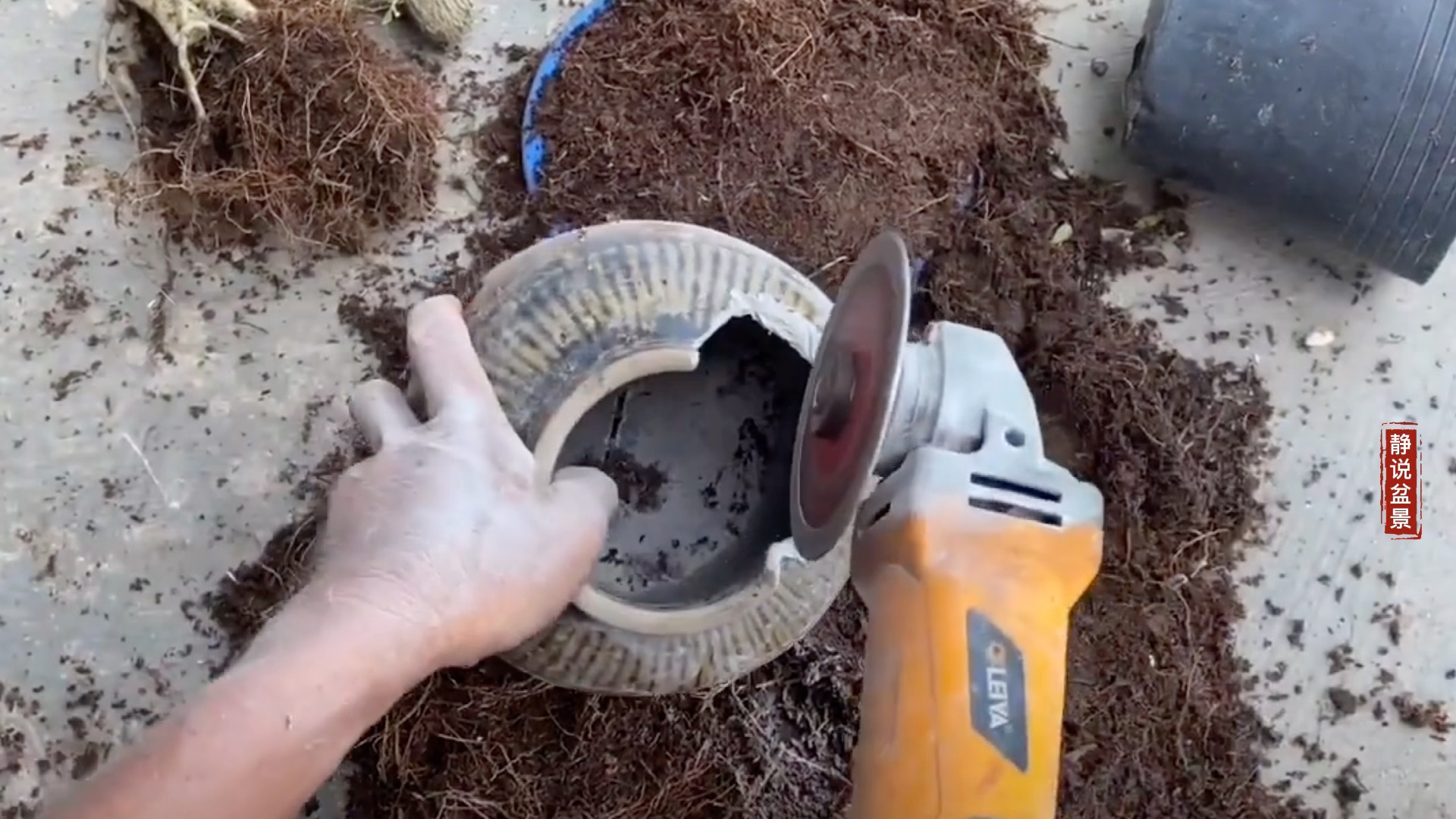 越南师傅切割老古董腌菜坛子栽棵树制作盆景古色古香造型奇特