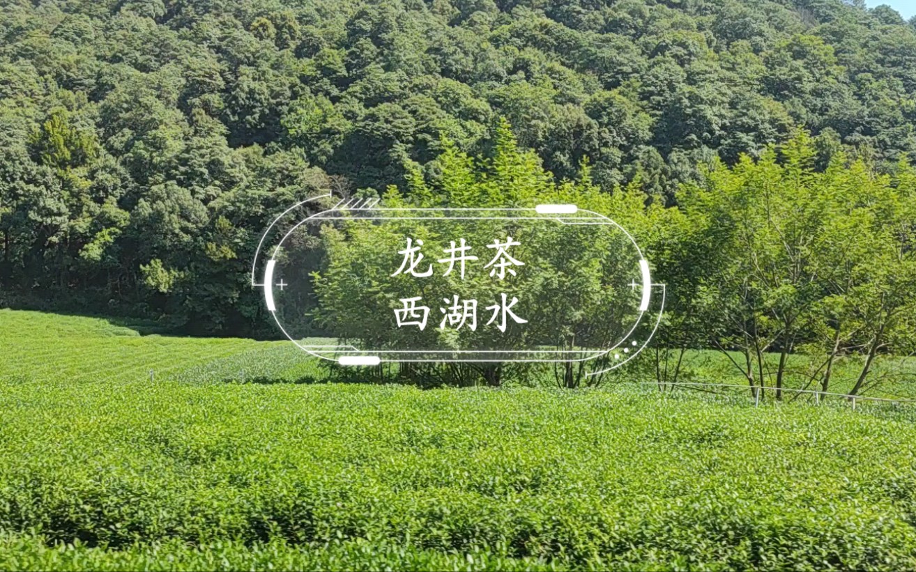 【游记】龙井茶园✘西湖风景哔哩哔哩bilibili