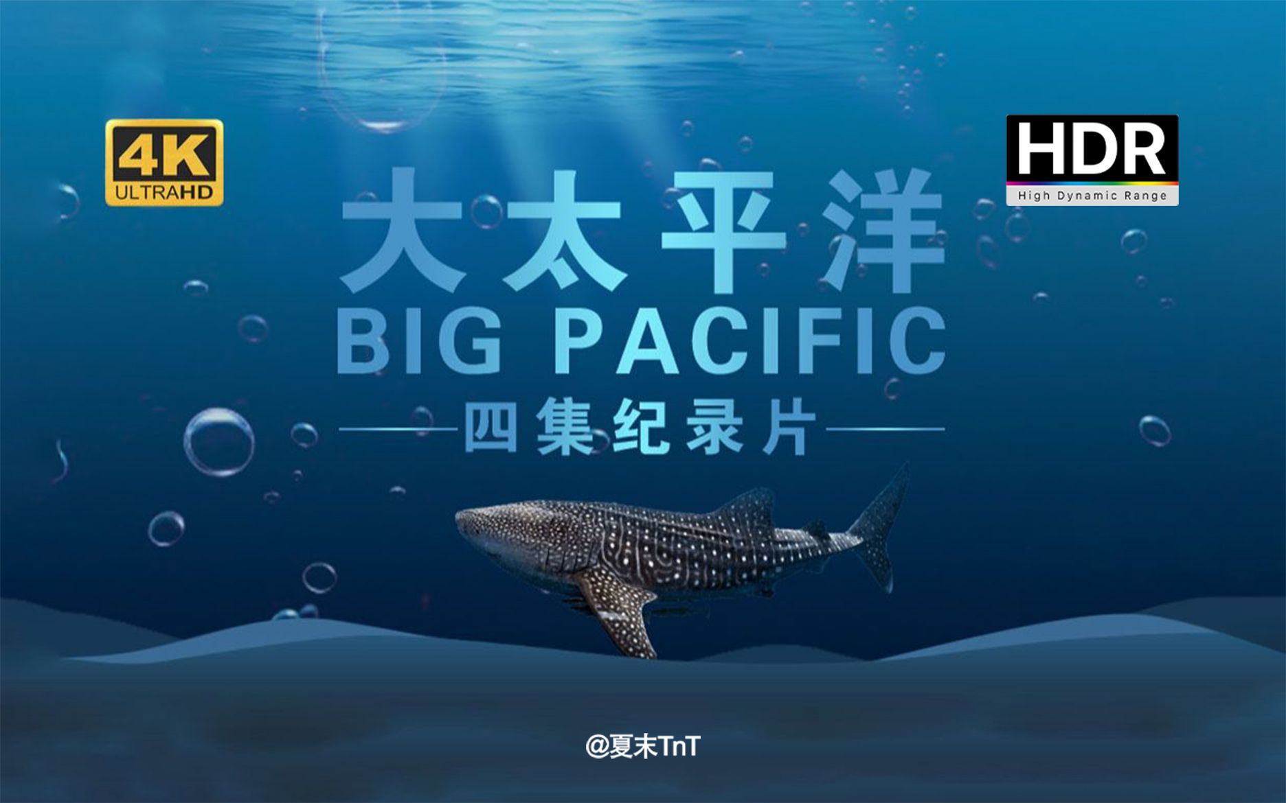 [图]纪录片《大太平洋》【4K50帧HDR】全4集正片 Big Pacific