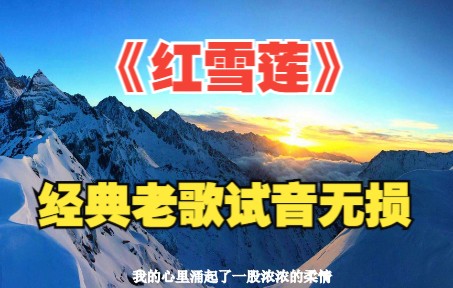 [图]136.无损音乐/发烧hifi/试音极品《红雪莲》