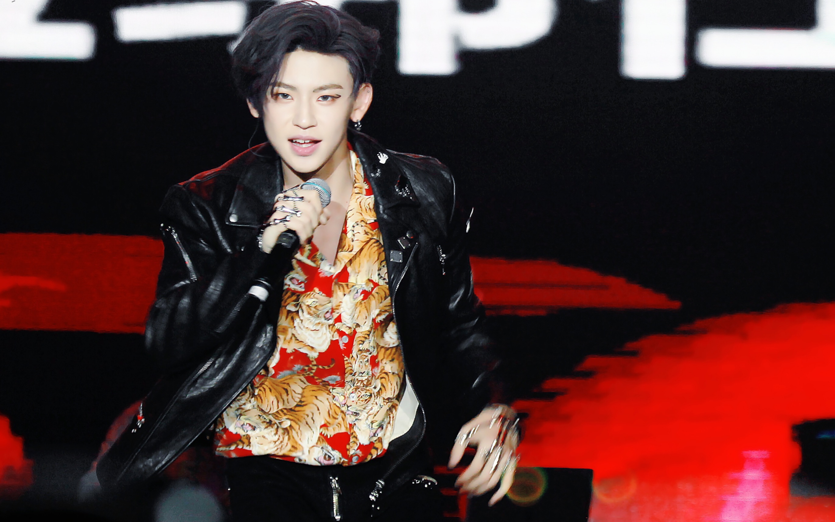 小鬼王琳凯南京生日会tiger首次现场演唱