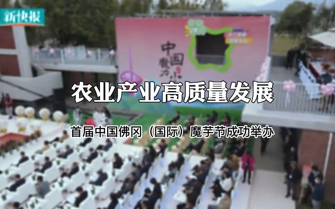 农业产业高质量发展 首届中国佛冈(国际)魔芋节成功举办哔哩哔哩bilibili