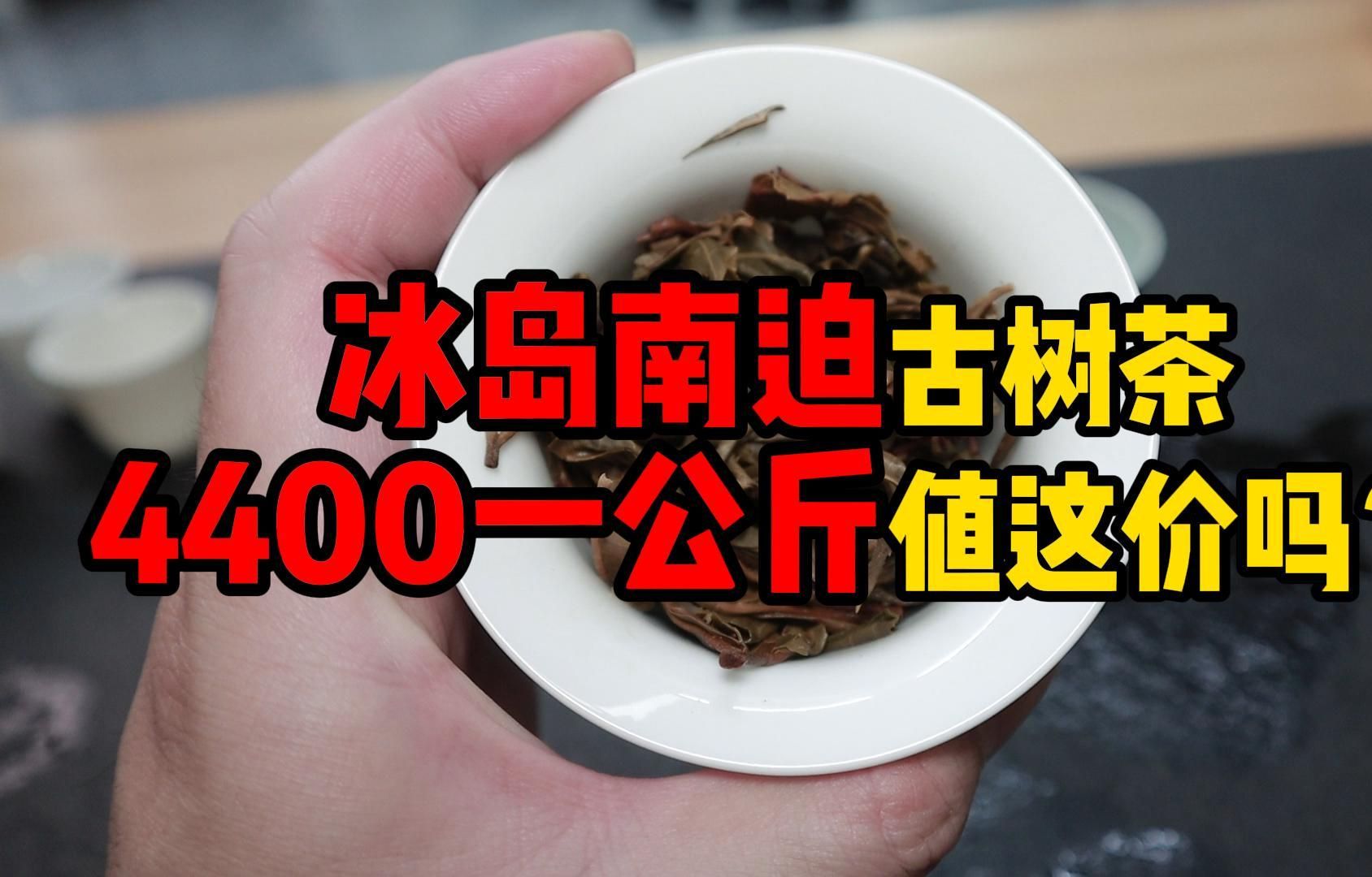 测评冰岛南迫古树茶,4400一公斤,值这个价吗?哔哩哔哩bilibili