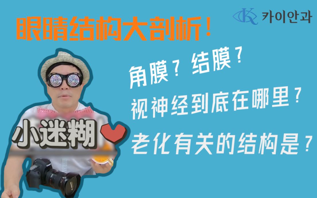 眼睛的构造大剖析!小迷糊眼科知识课堂~哔哩哔哩bilibili