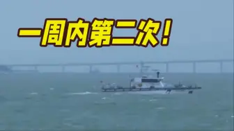 Download Video: 一周内第二次！直击海警编队金门水道执法现场