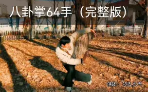 Download Video: 八卦掌64手完整版随练