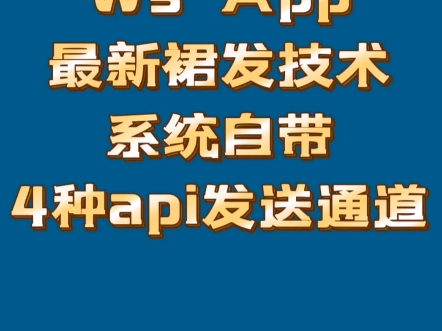 WsApp最新群发技术系统自带4种api发送通道详情了解,私聊免费测试哔哩哔哩bilibili