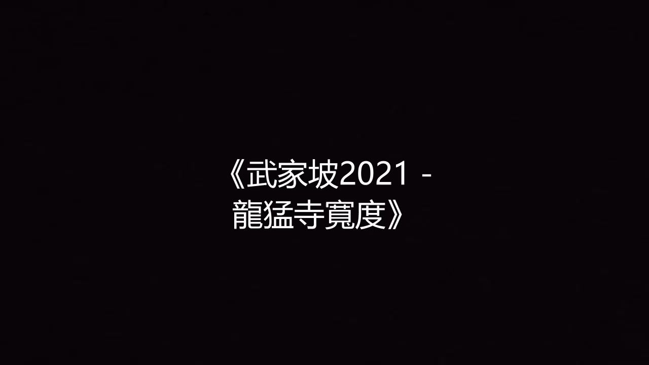 武家坡2021 - 龍猛寺寬度 高品质伴奏 带和声