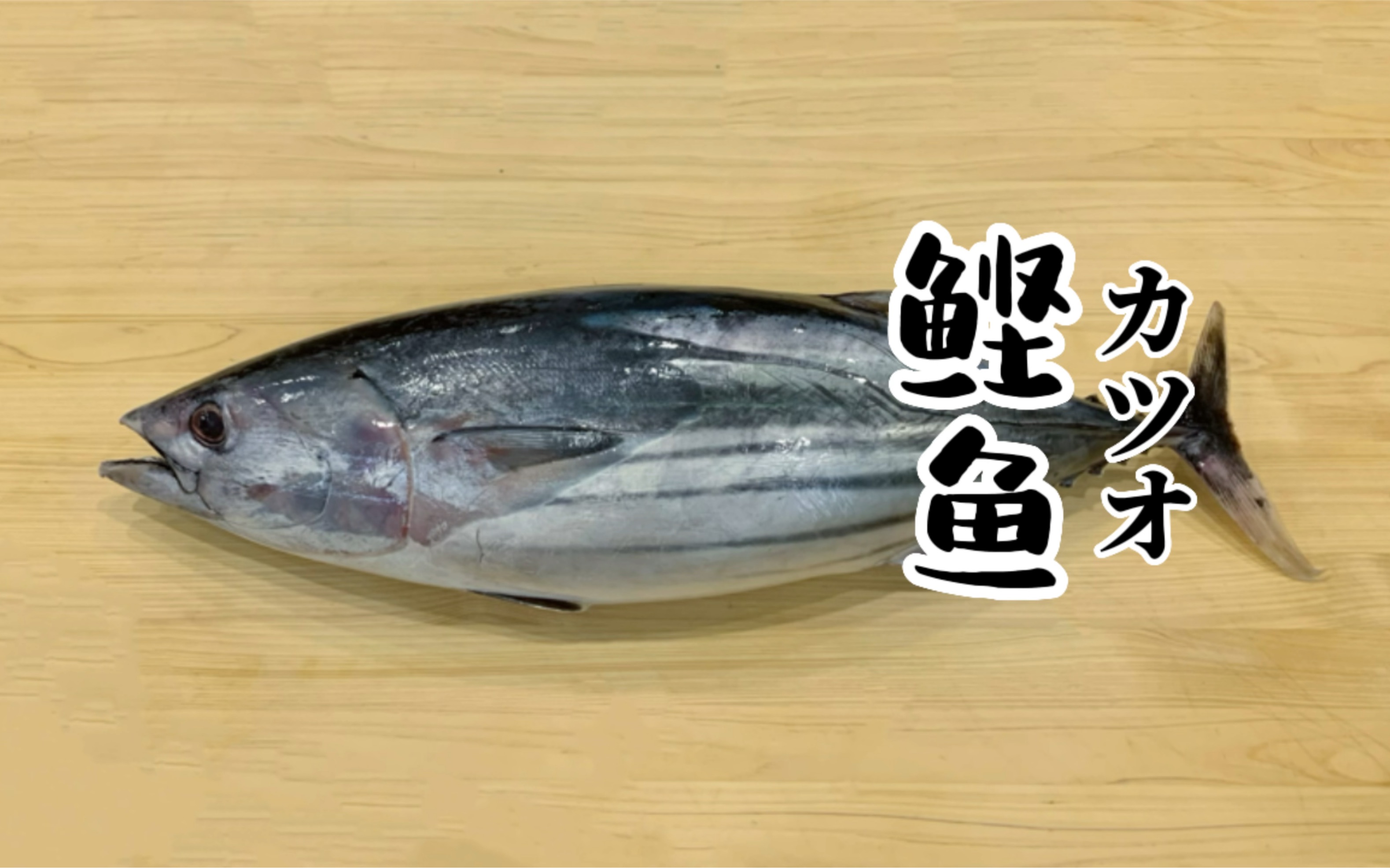 鲣鱼寿司-一粒沙白sushi-一粒沙白sushi-哔哩哔哩视频