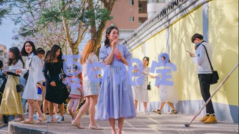 一名拍照爱好者眼里的春城蓝花楹 哔哩哔哩 Bilibili