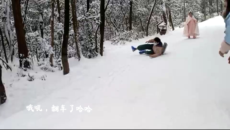 张家界杨家界景区哔哩哔哩bilibili