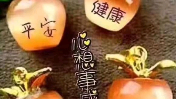 早上一句早安,开始新的一天哔哩哔哩bilibili