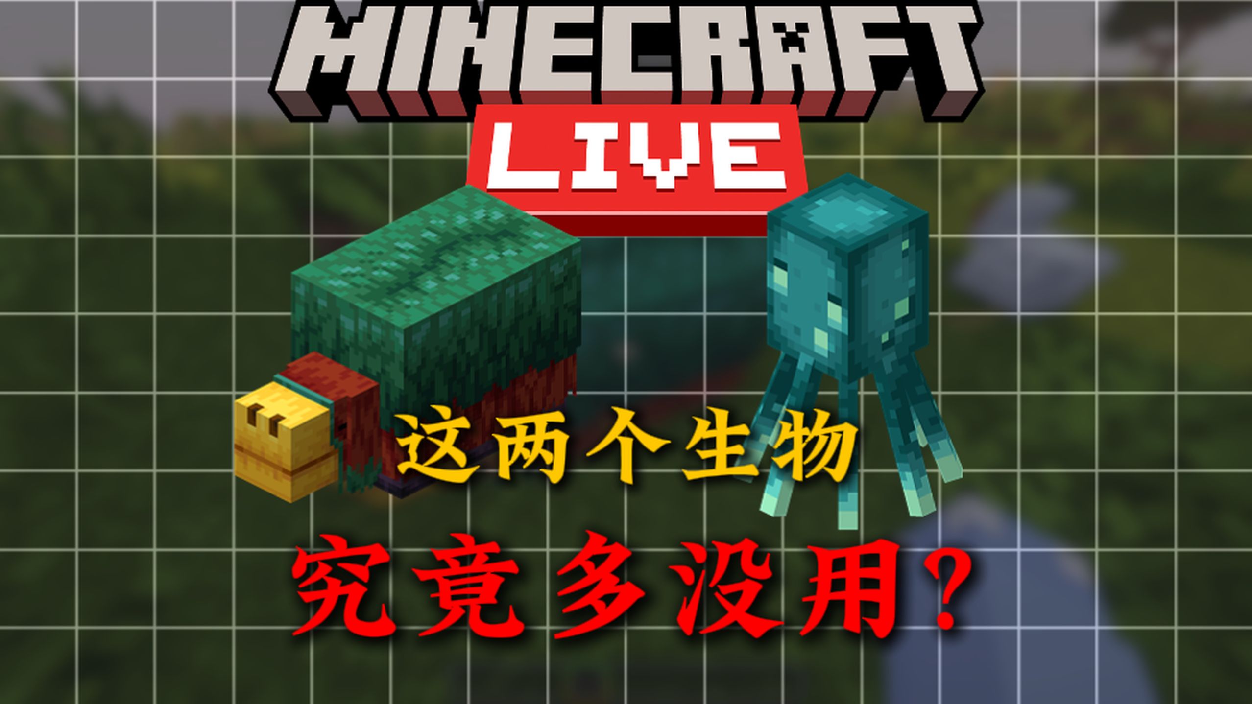 MC生物投票究竟投出来了什么冷门生物？敷衍至极！！