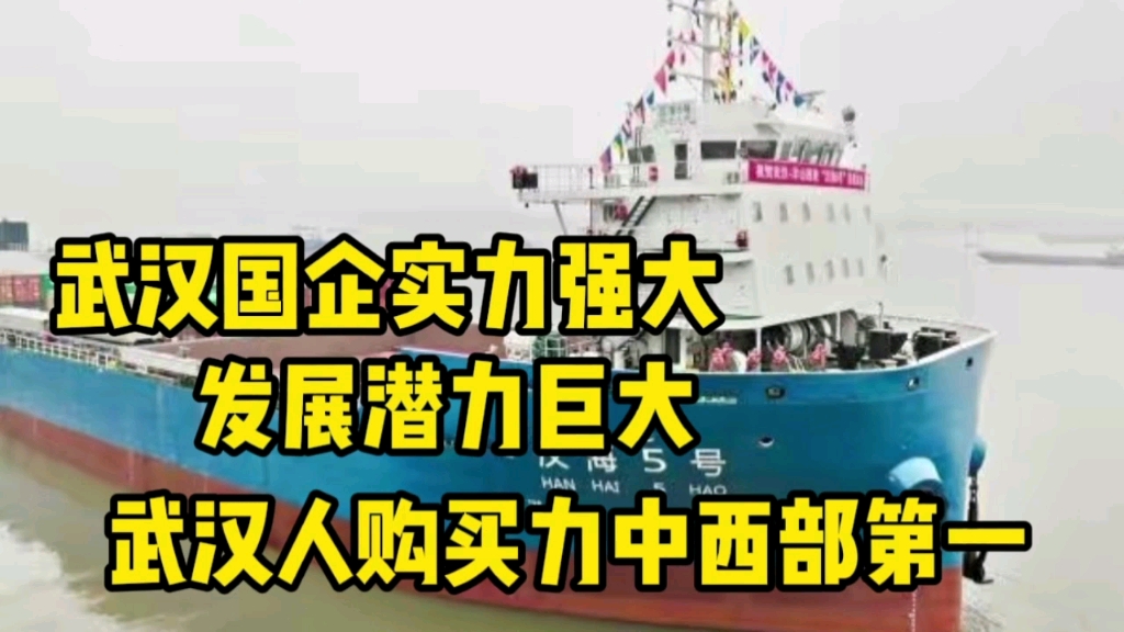 武汉国企实力强大,民企也不差,市民购买力中西部第一,潜力巨大哔哩哔哩bilibili