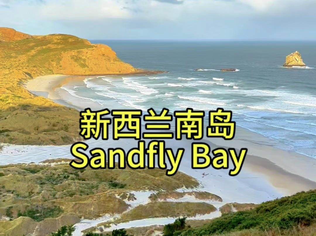 新西兰南岛Sandfly Bay哔哩哔哩bilibili