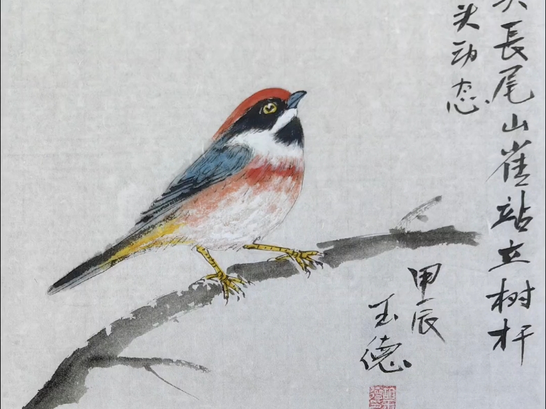 《愤怒的小鸟》红头长尾山雀国画小写意