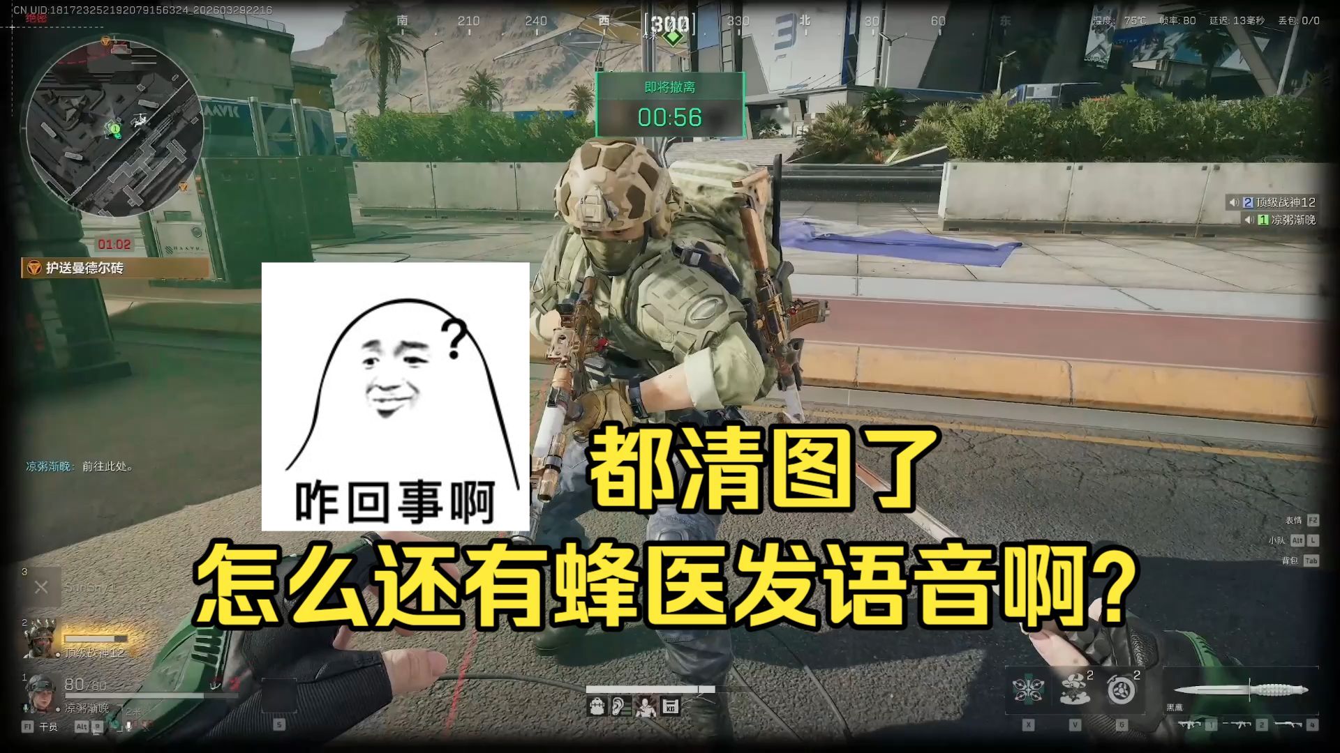 调戏队友：队里没有蜂医，却到处都有蜂医的语音