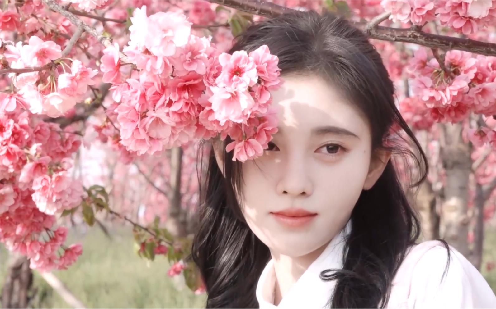 【鞠婧祎】春游日记vlog,在温暖的季节里留下更多美好印迹,春游花絮