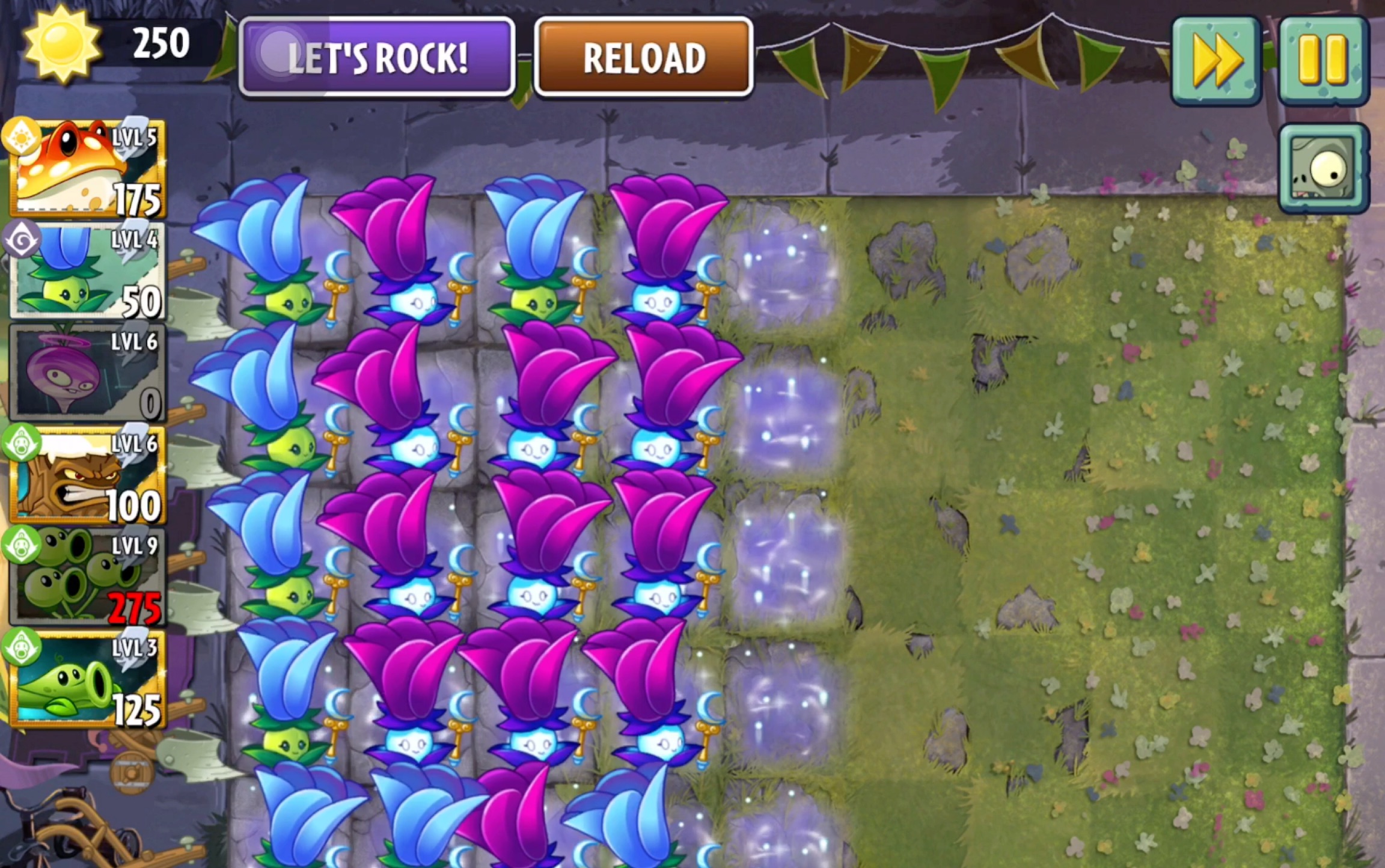 【高产月光花】pvz2国际版竞技场_哔哩哔哩_bilibili