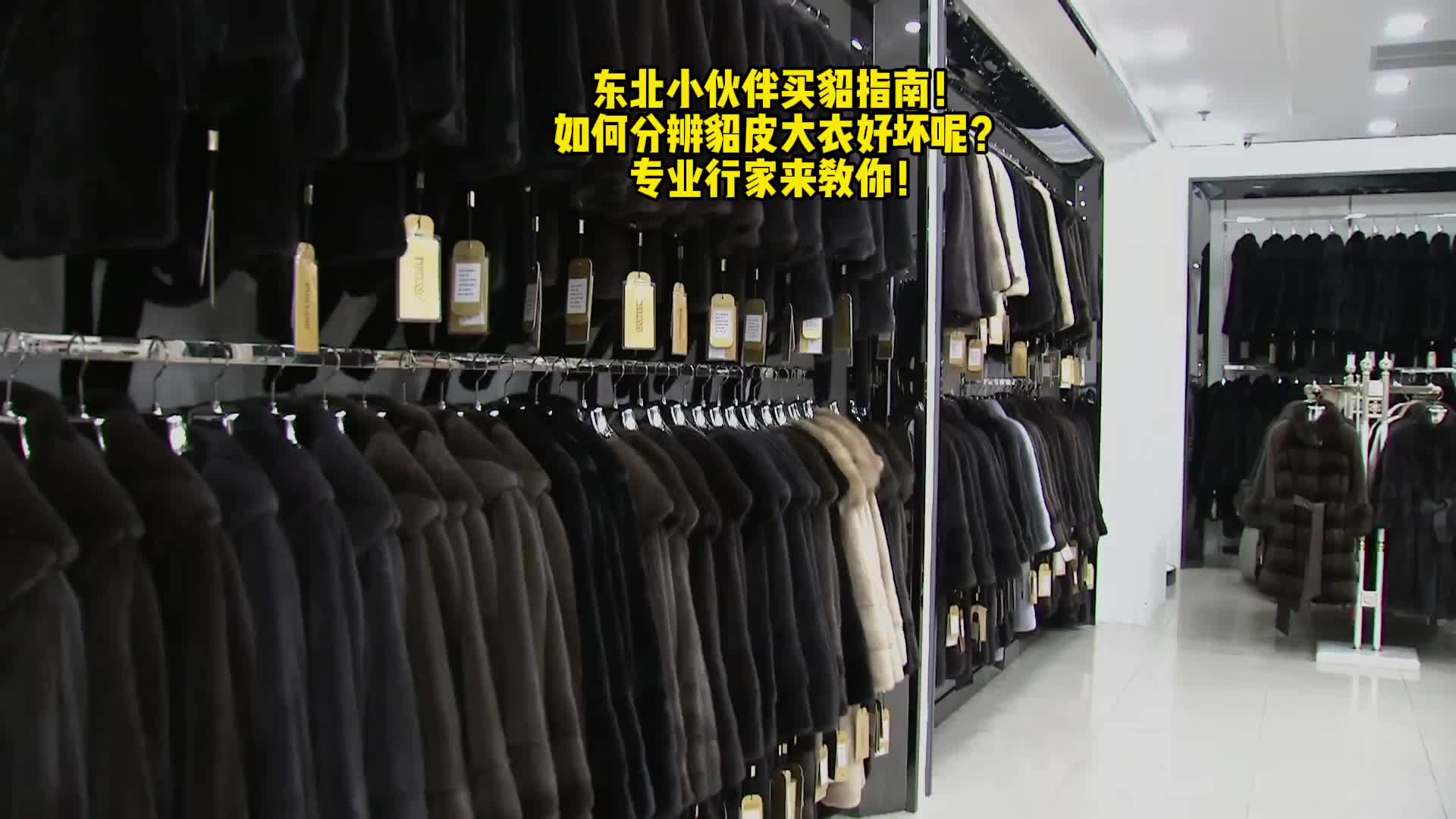 东北小伙伴买貂指南!如何分辨貂皮大衣好坏呢?专业行家来教你!哔哩哔哩bilibili