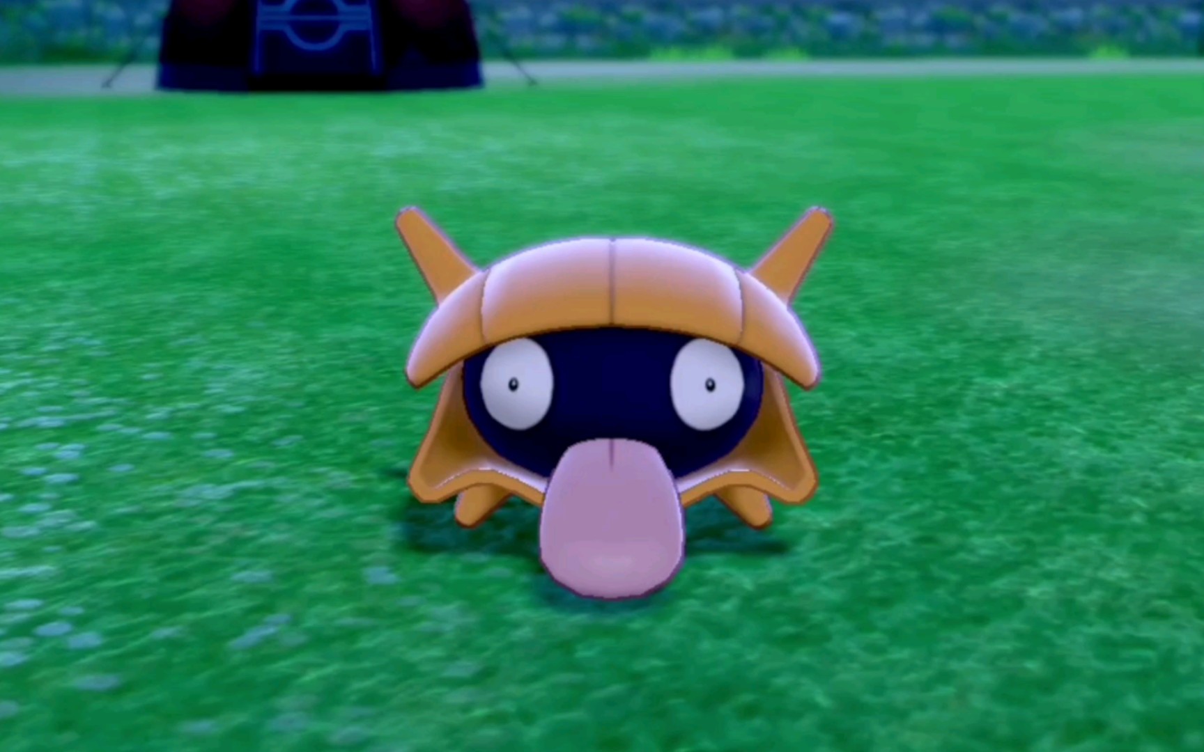 大舌贝闪率限时up,不要错过～闪光大舌贝